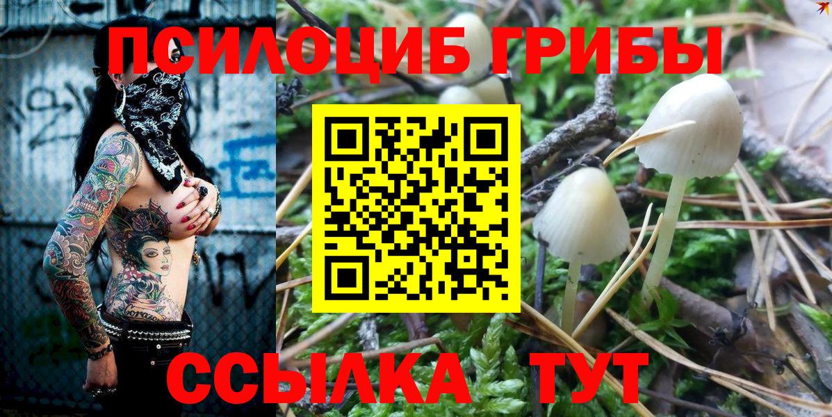 Псилоцибиновые грибы Cubensis Клинцы