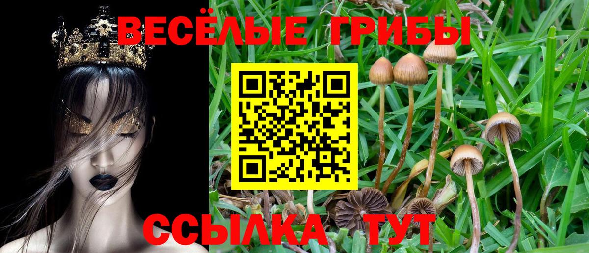 Псилоцибиновые грибы Magic Shrooms  Вход с VPN  Клинцы  наркошоп  Псилоцибиновые грибы Magic Shrooms 